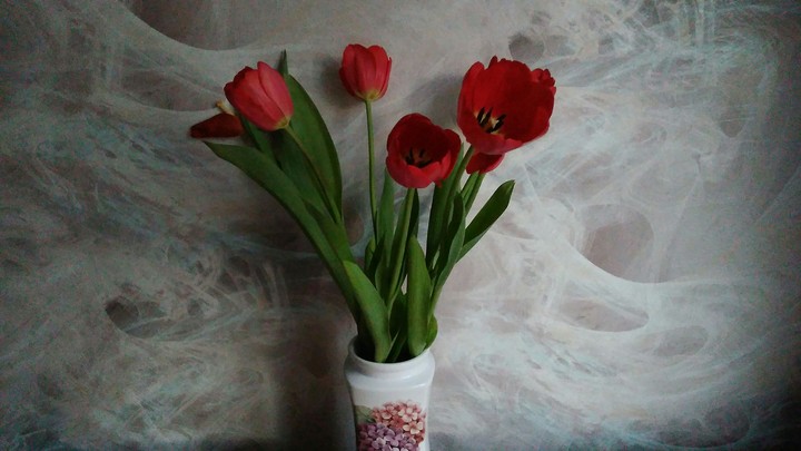 Spring&Tulips