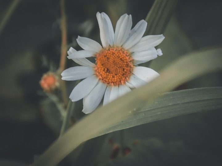 ph: Вика