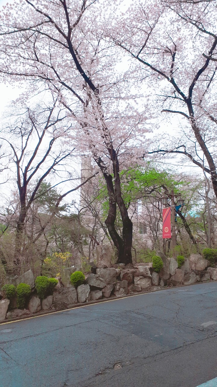 Spring