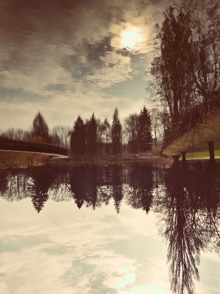 Reflection in the lake