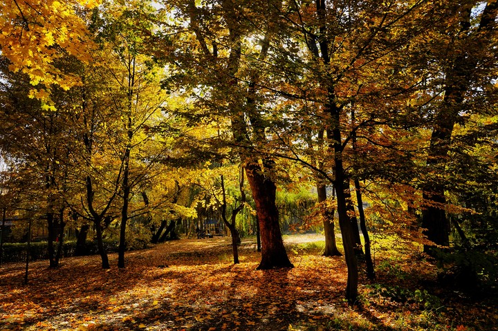 autumn