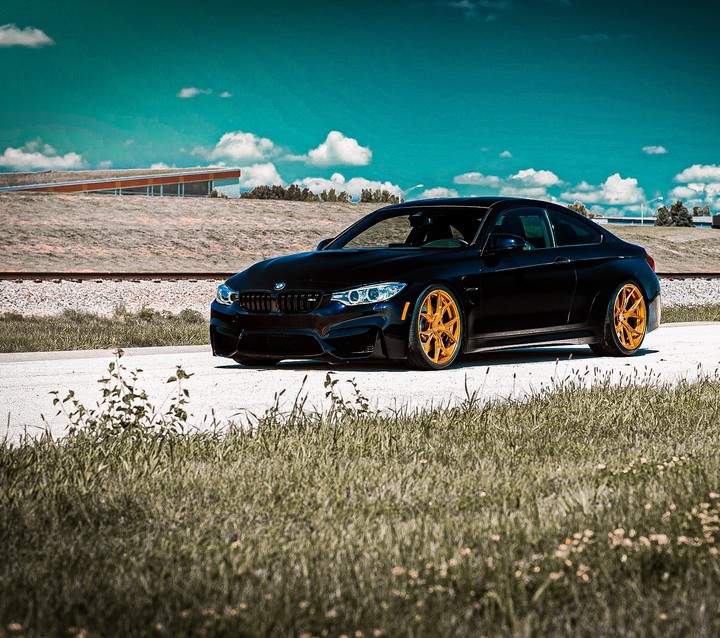 BMW M4 GTS