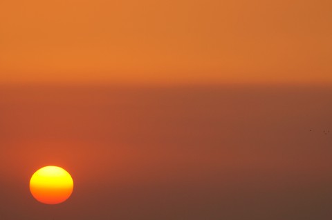 Good morning sun°°