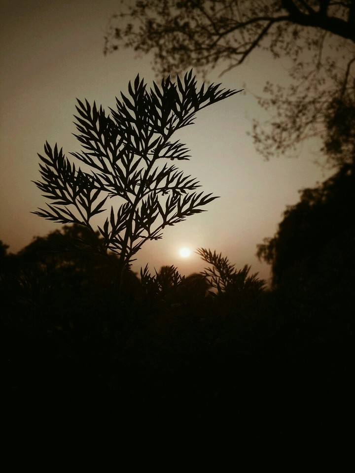 peace