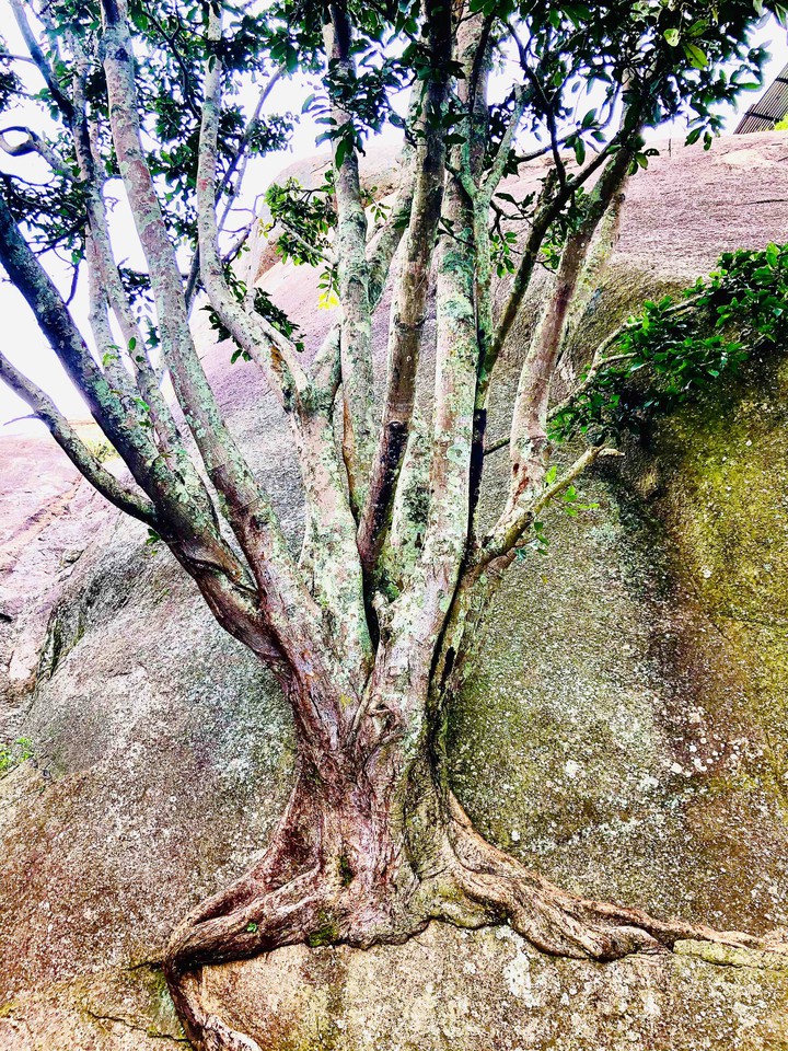 ?