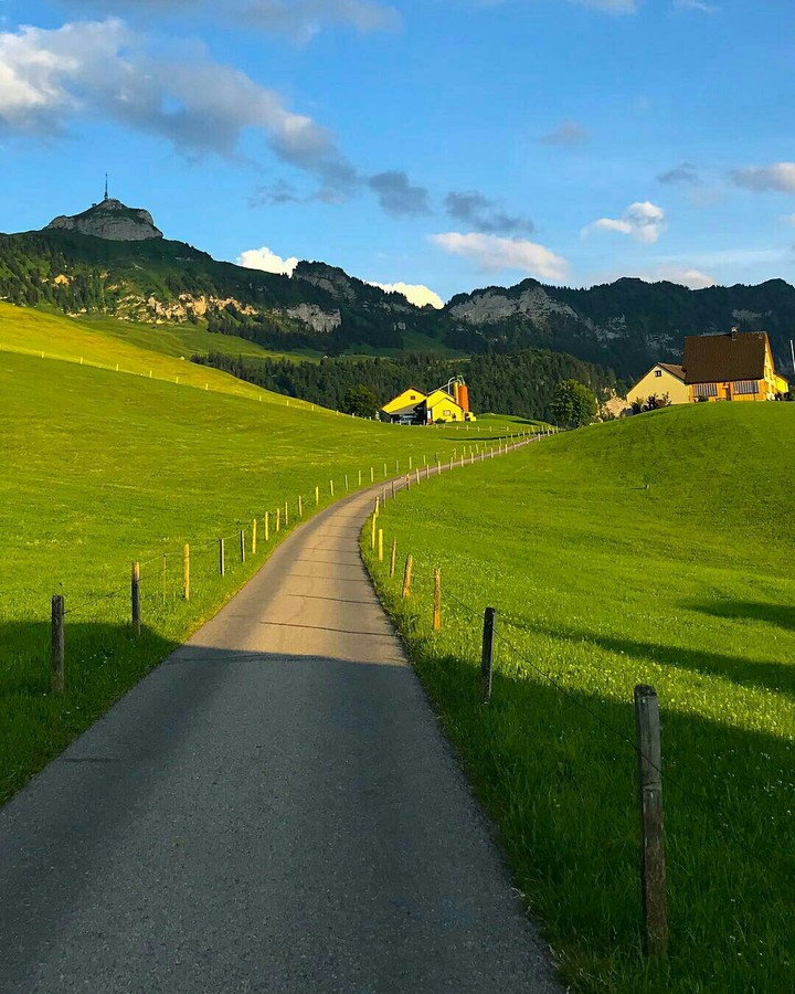 Beauty of Swiss