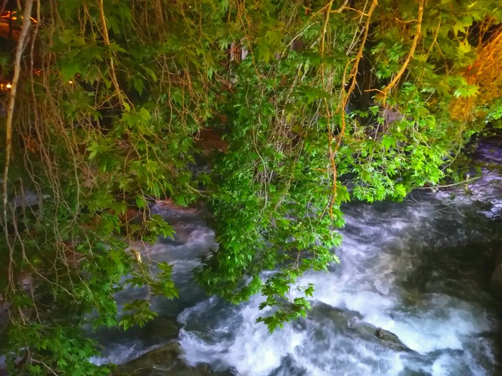 beautiful river in the night