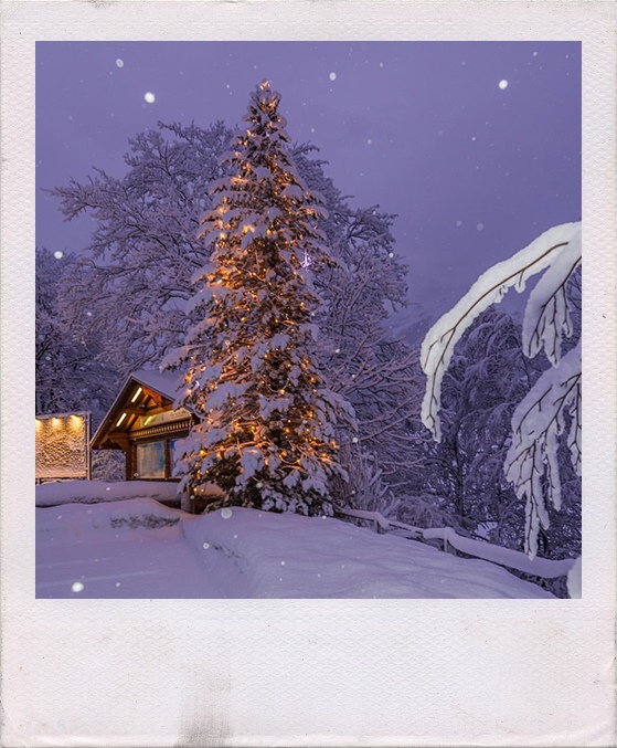 winter