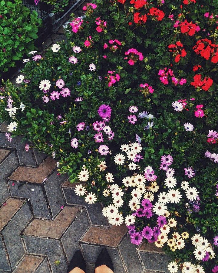 Flower effect
