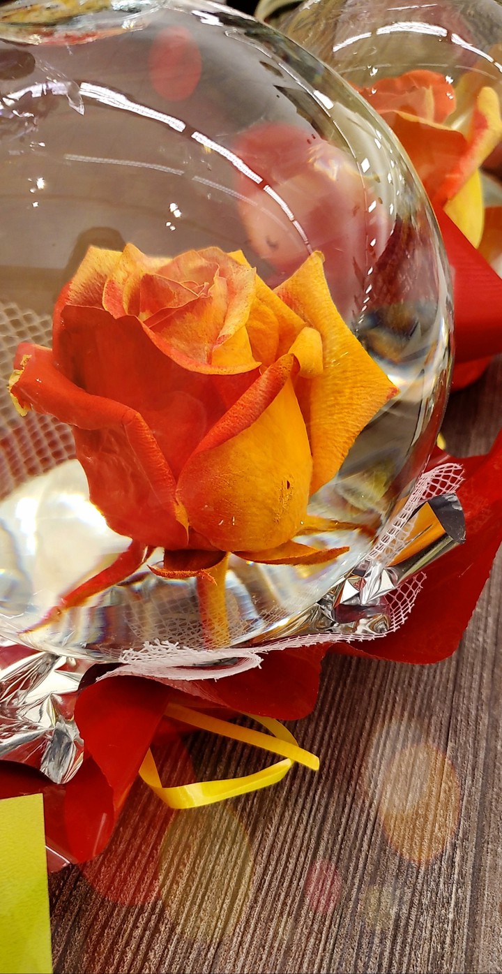 The Rose