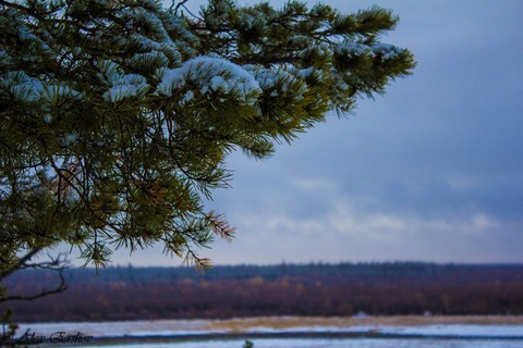 осень