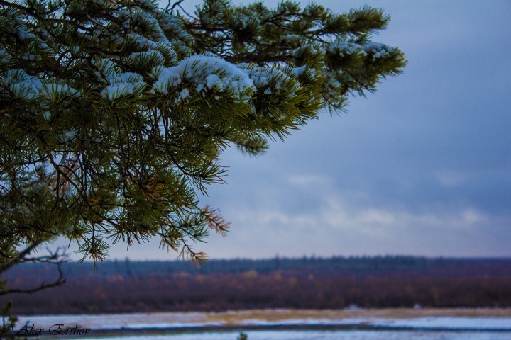 осень