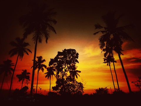 sun set