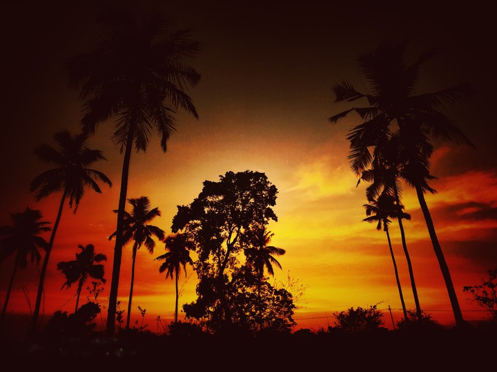 sun set