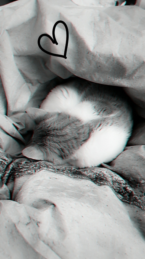 smol bebe