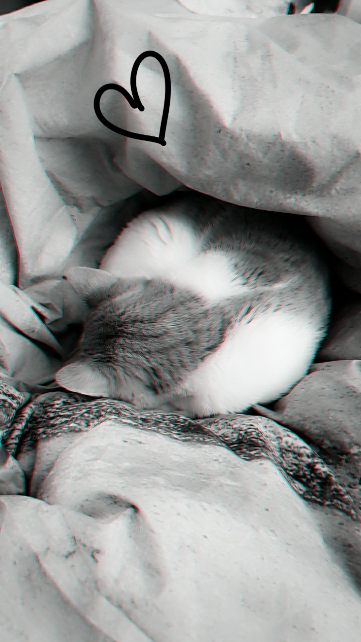 smol bebe