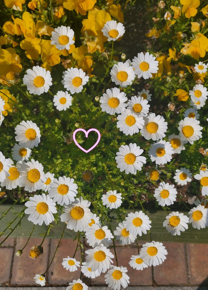 ♡