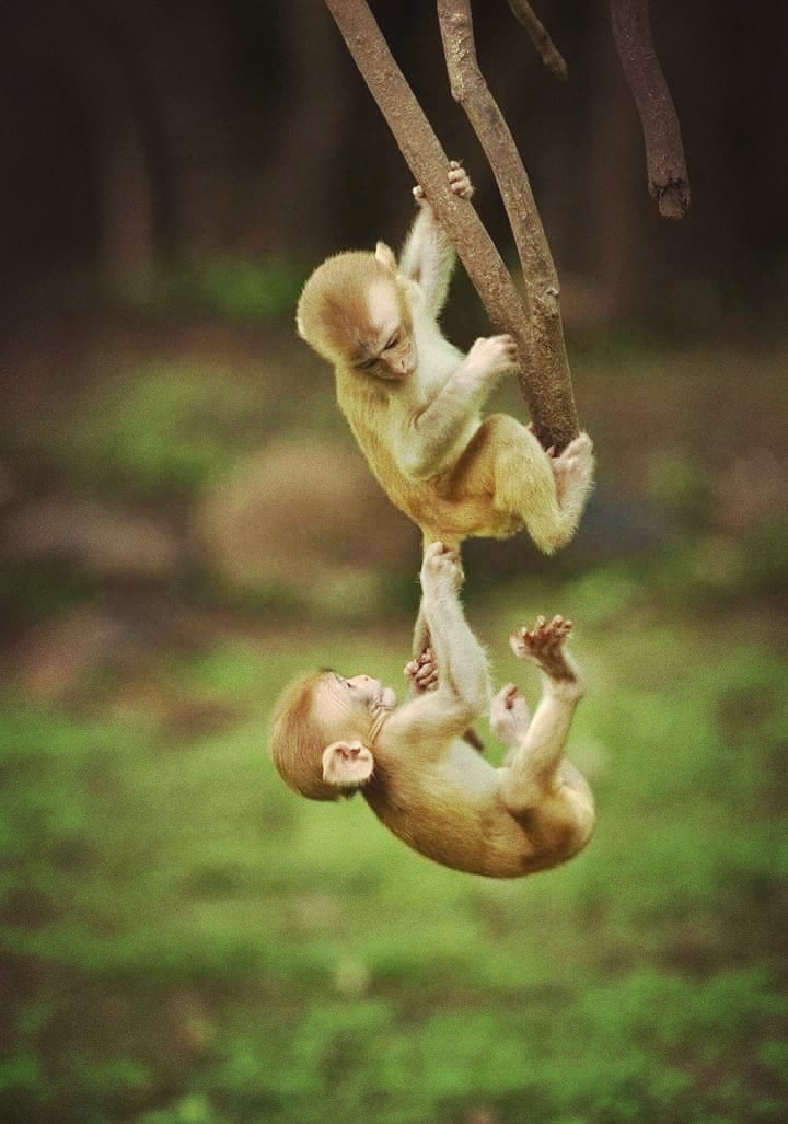 wow