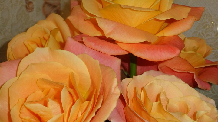 Flover
