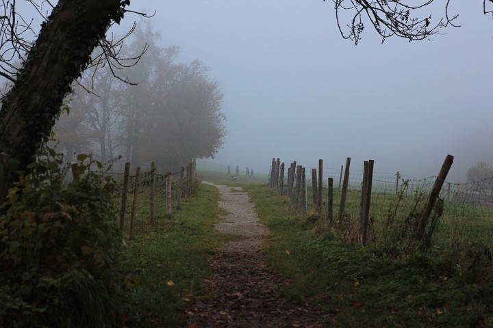 Herrsching