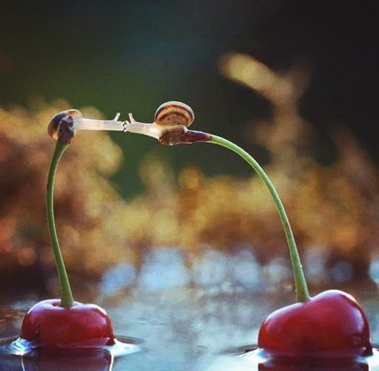 beso