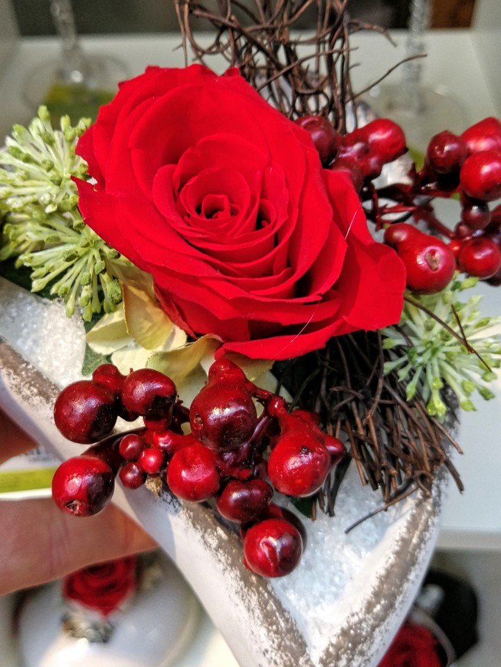 rote Rose