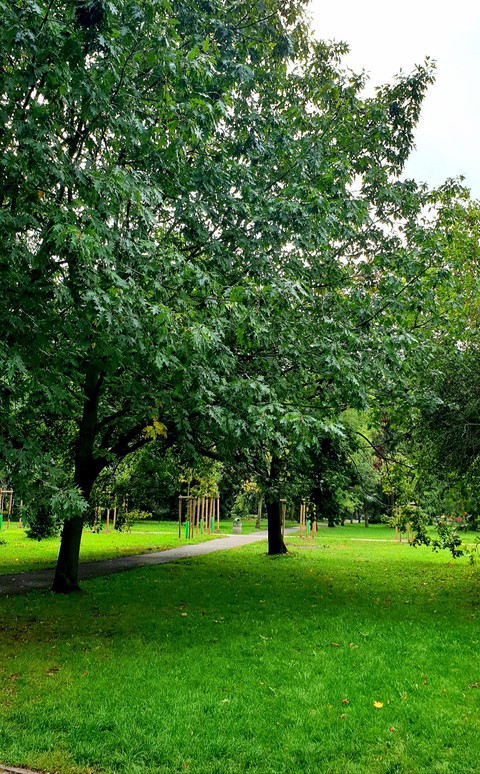park