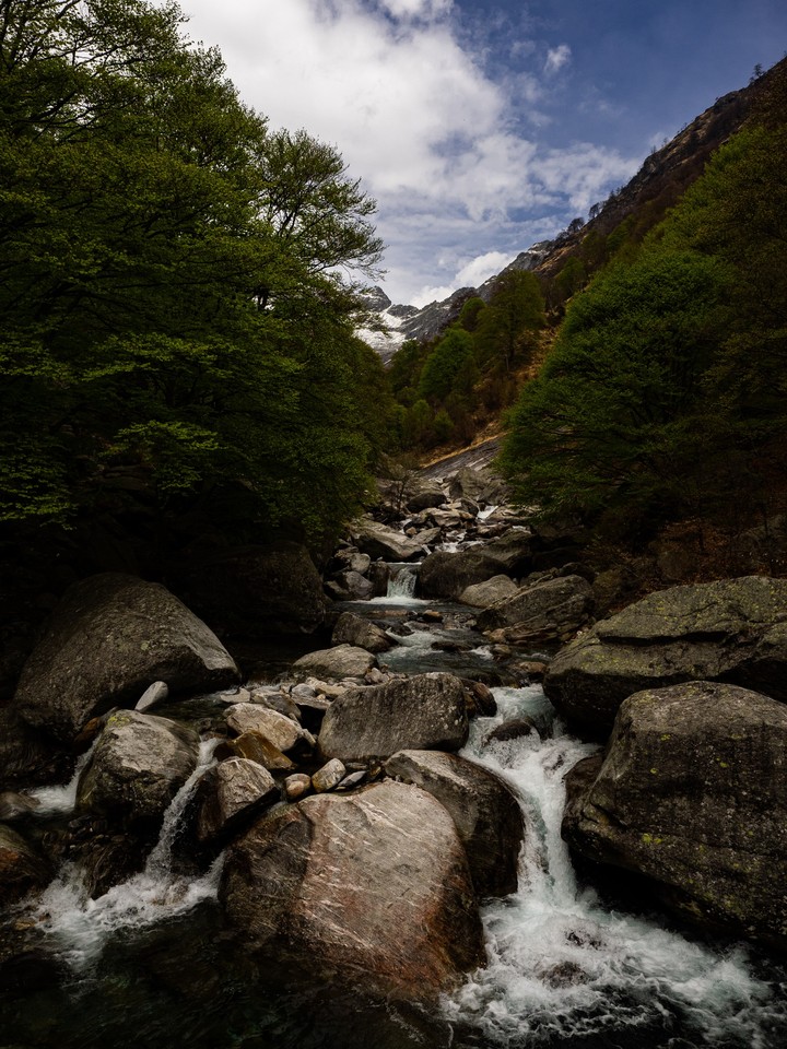 Mountain