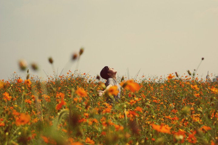 Bathed in Cosmos