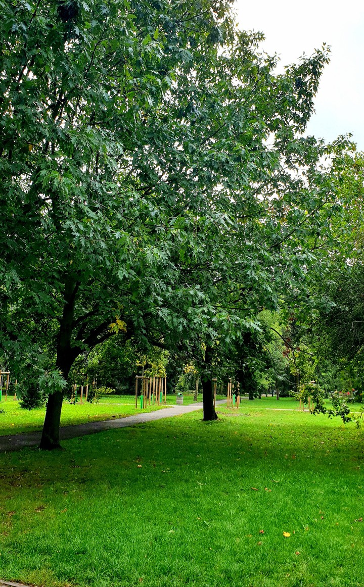 park