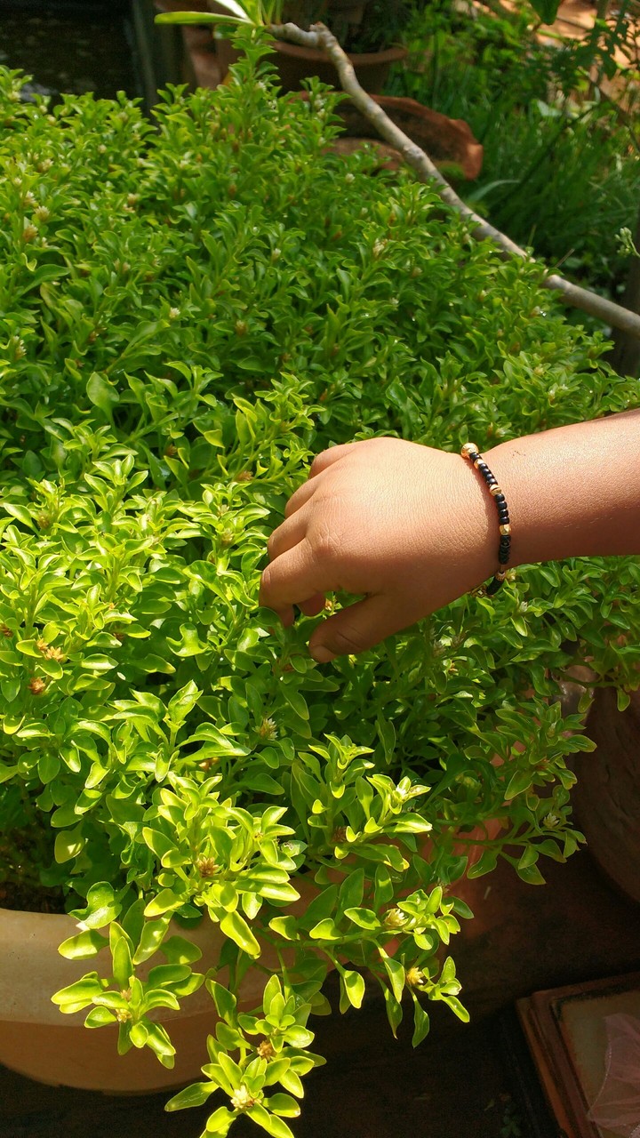 hands on peace full world