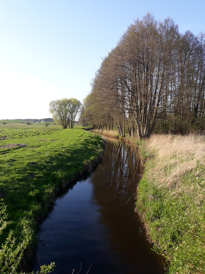 KłodawkaRiver