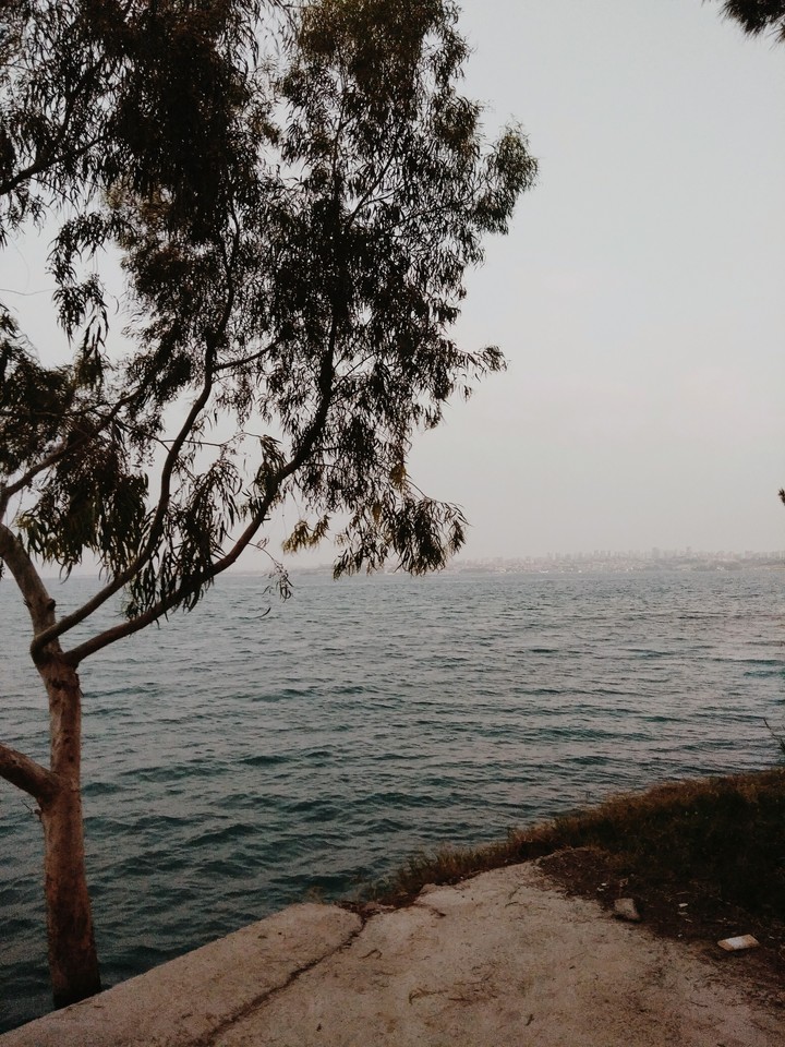 SEYHAN