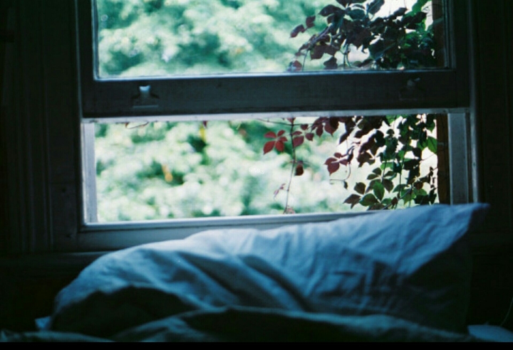 window