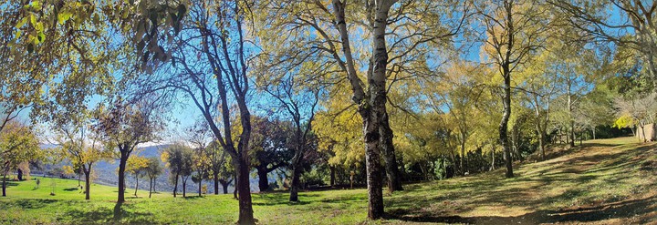 Colores de otoño