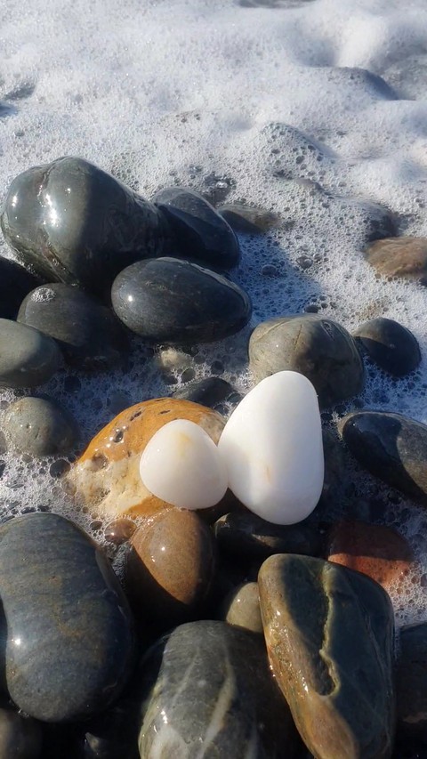 sfondi Rock, wood