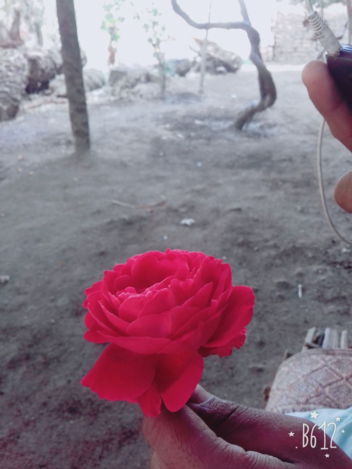 please like & comment
