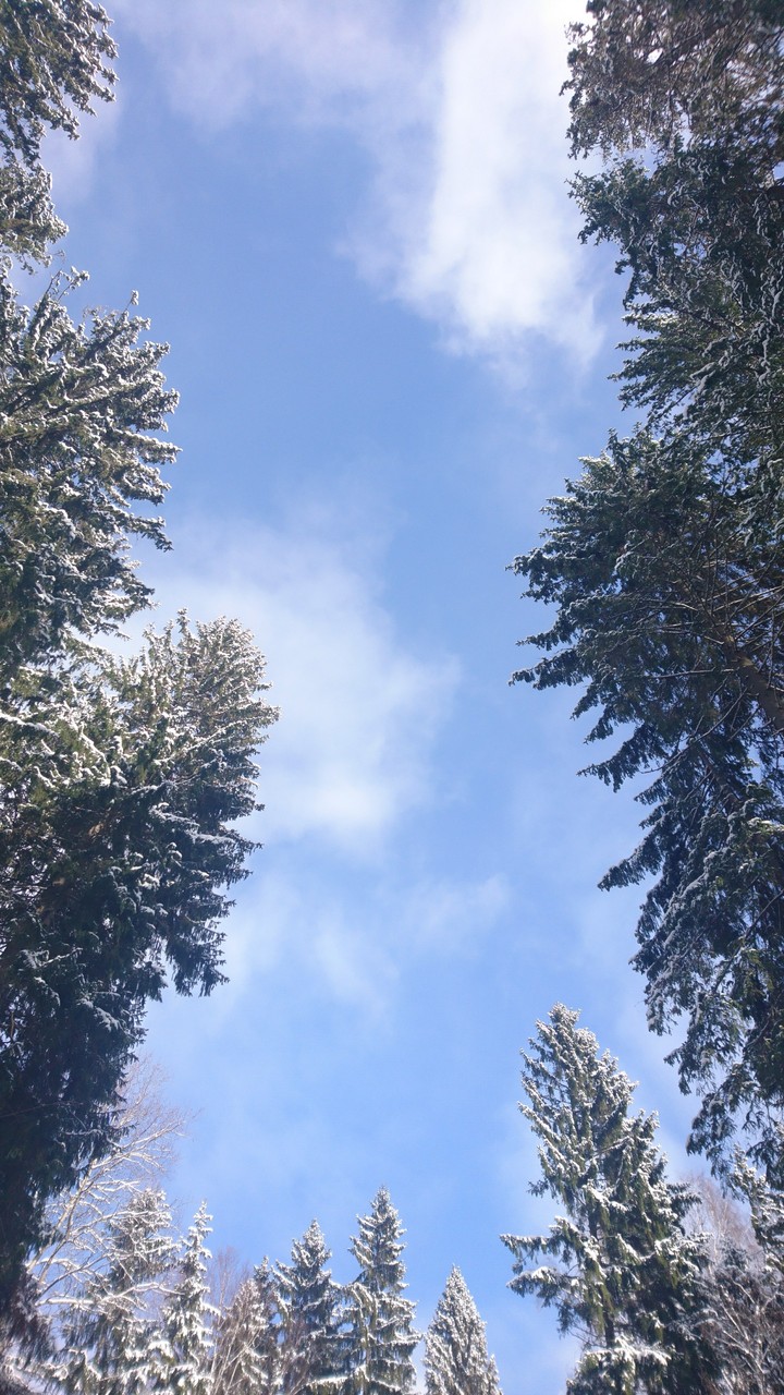 blue skies