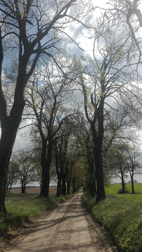 Young green world