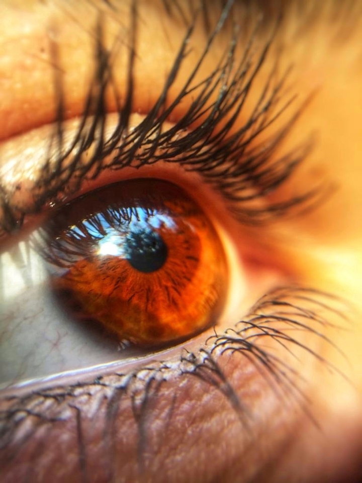 eye
