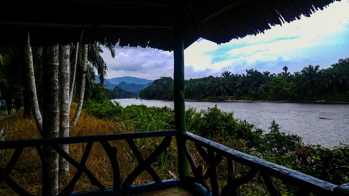 nature