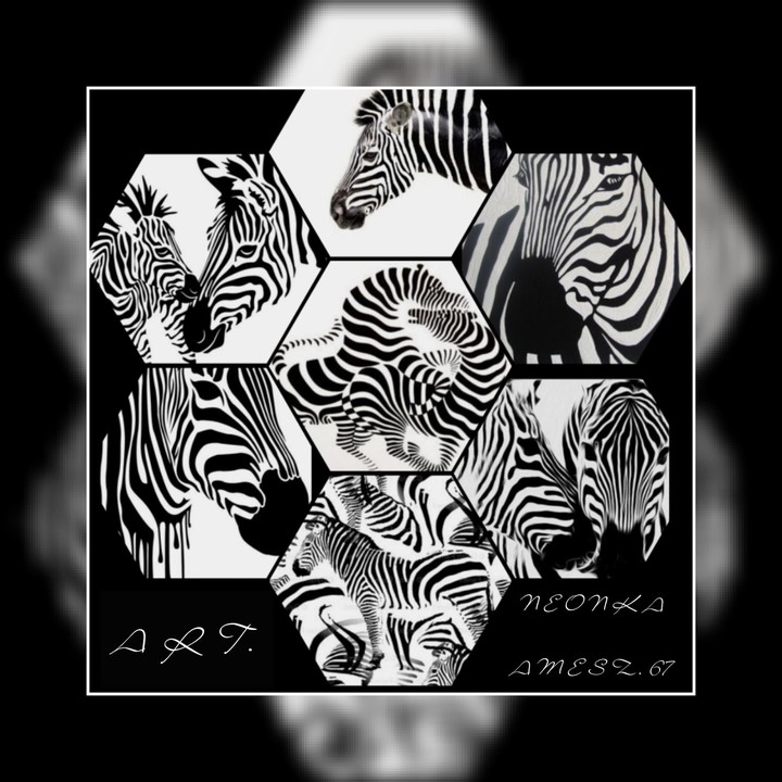 animal