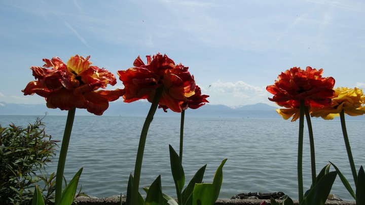 Alpes