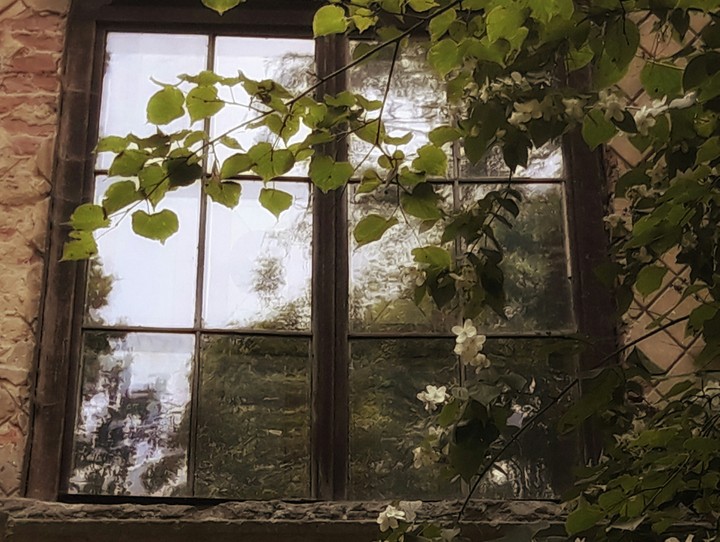 window