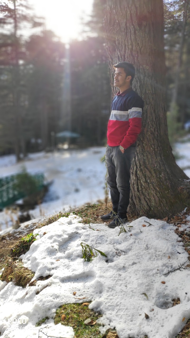kashmir