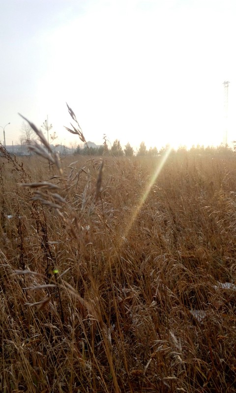 Fall. Sunset. My love.