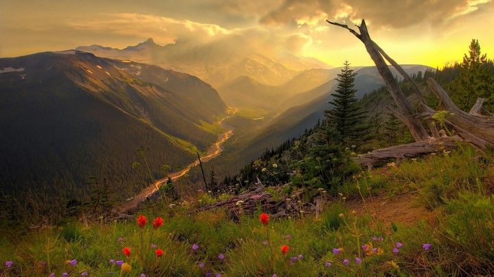 4K Nature