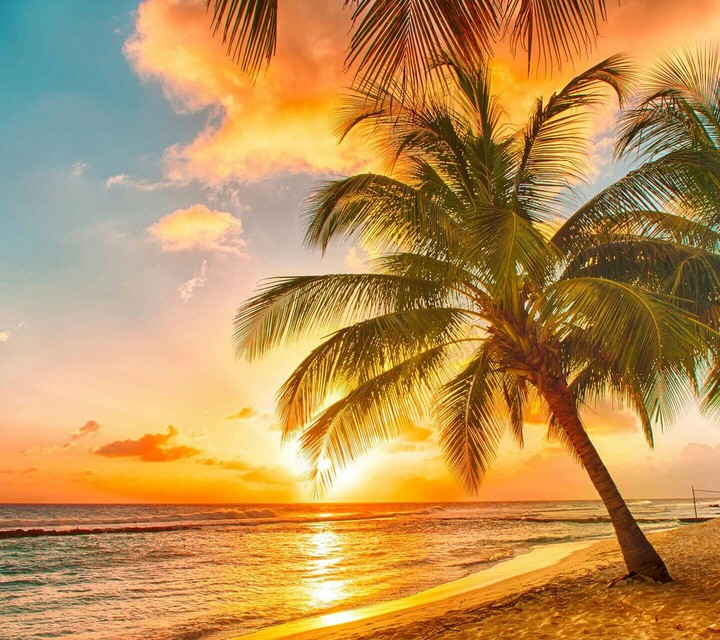 Paradise