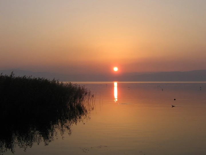 Ohrid