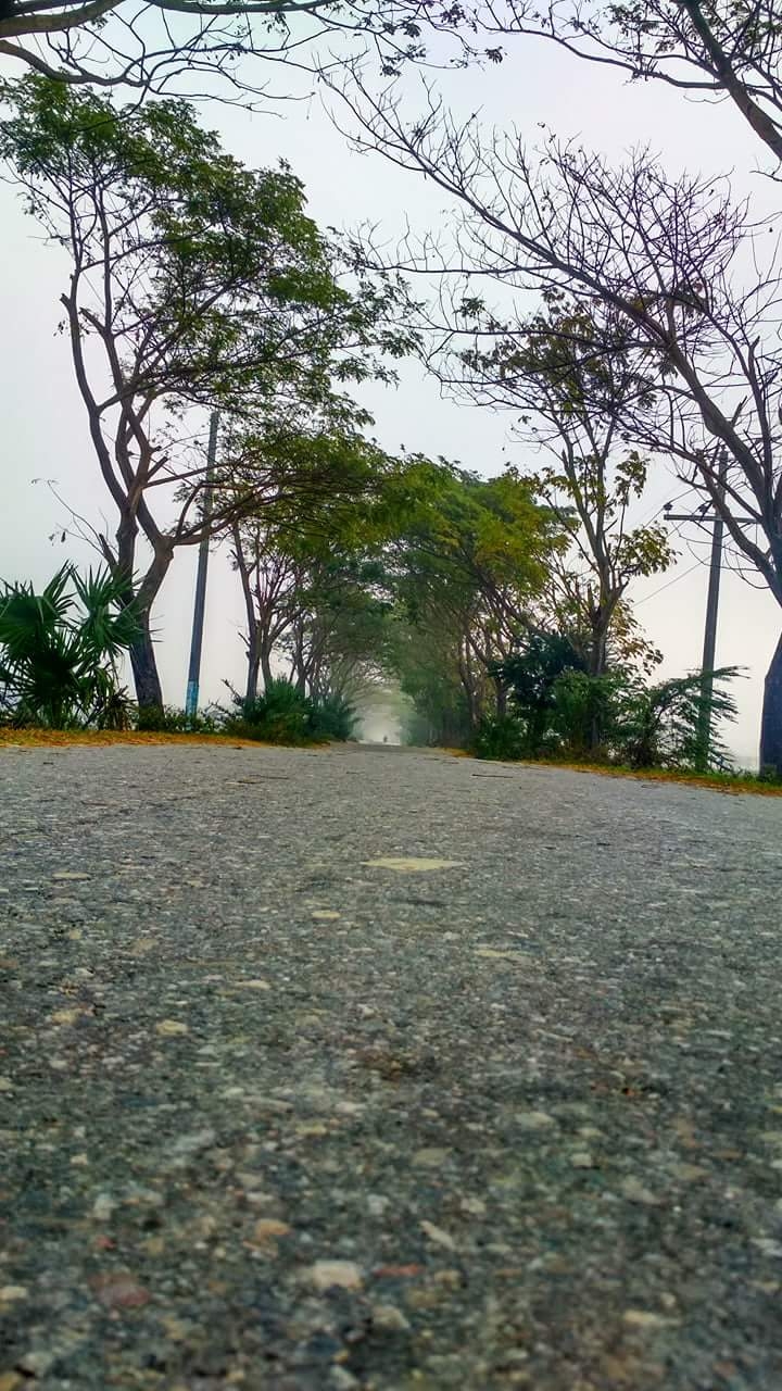 Everything In Mist